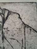 Jannik Seidelin  - Radering