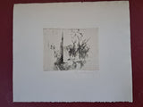 Pia schutzmann  - grafisk arbejde