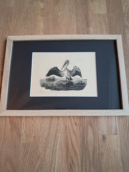 Johannes Larsen  - træsnit